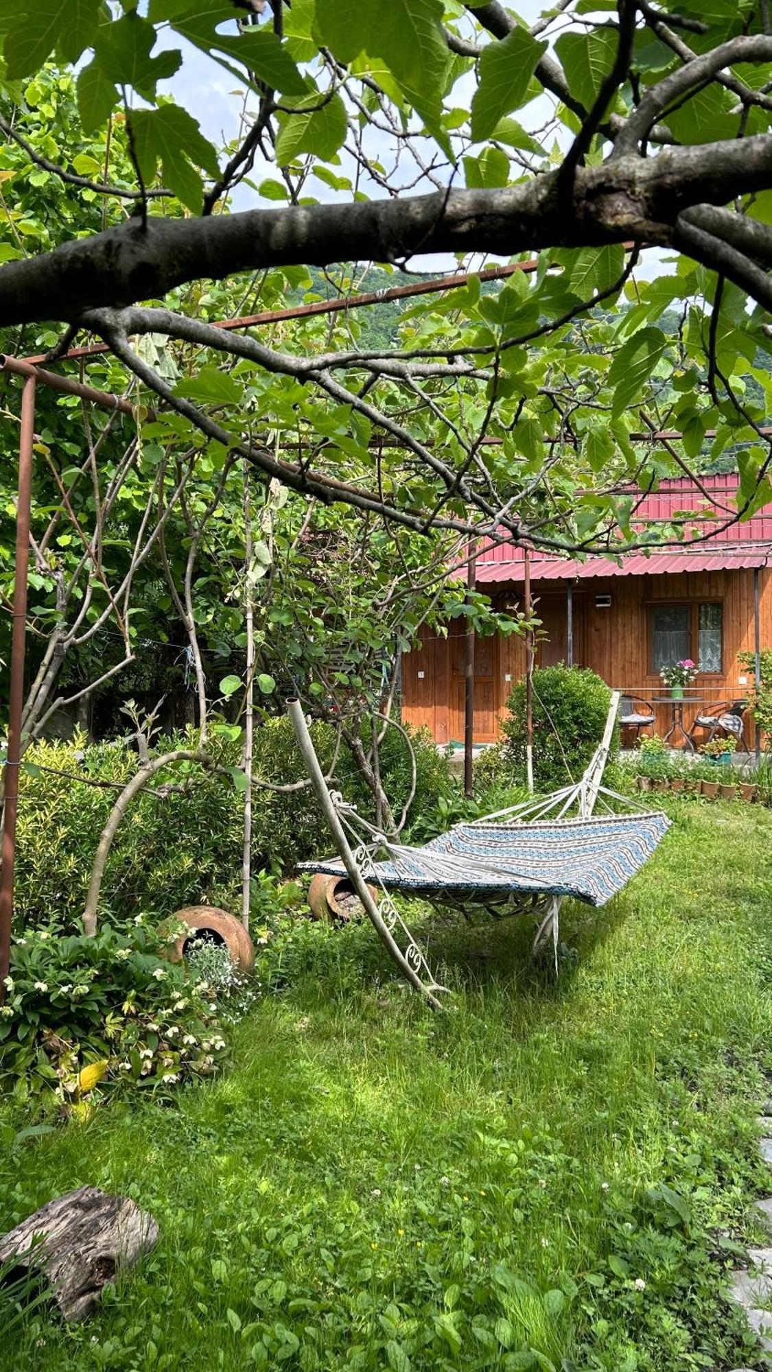 Ludwig Guesthouse Lagodehi Dış mekan fotoğraf