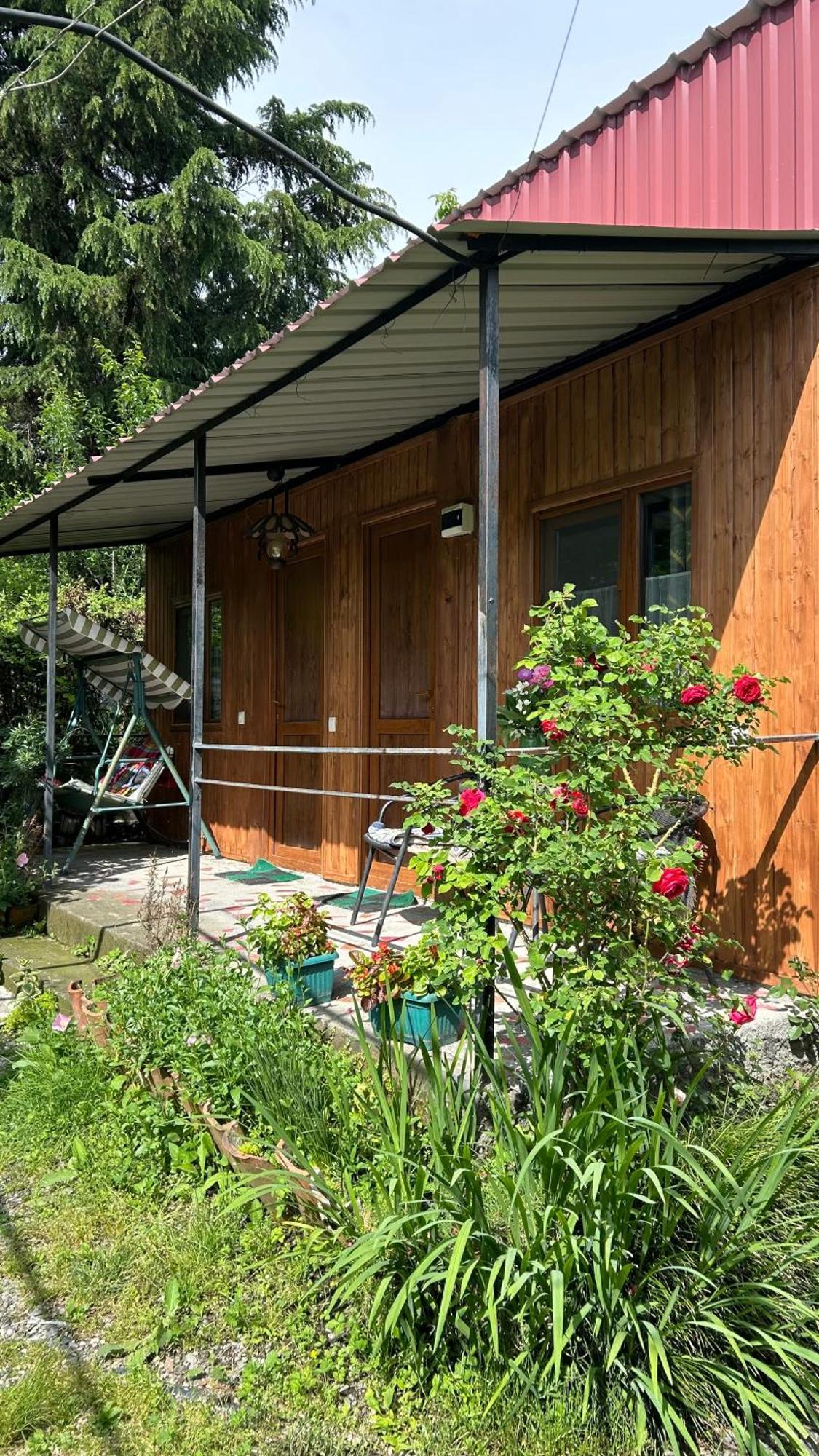 Ludwig Guesthouse Lagodehi Dış mekan fotoğraf