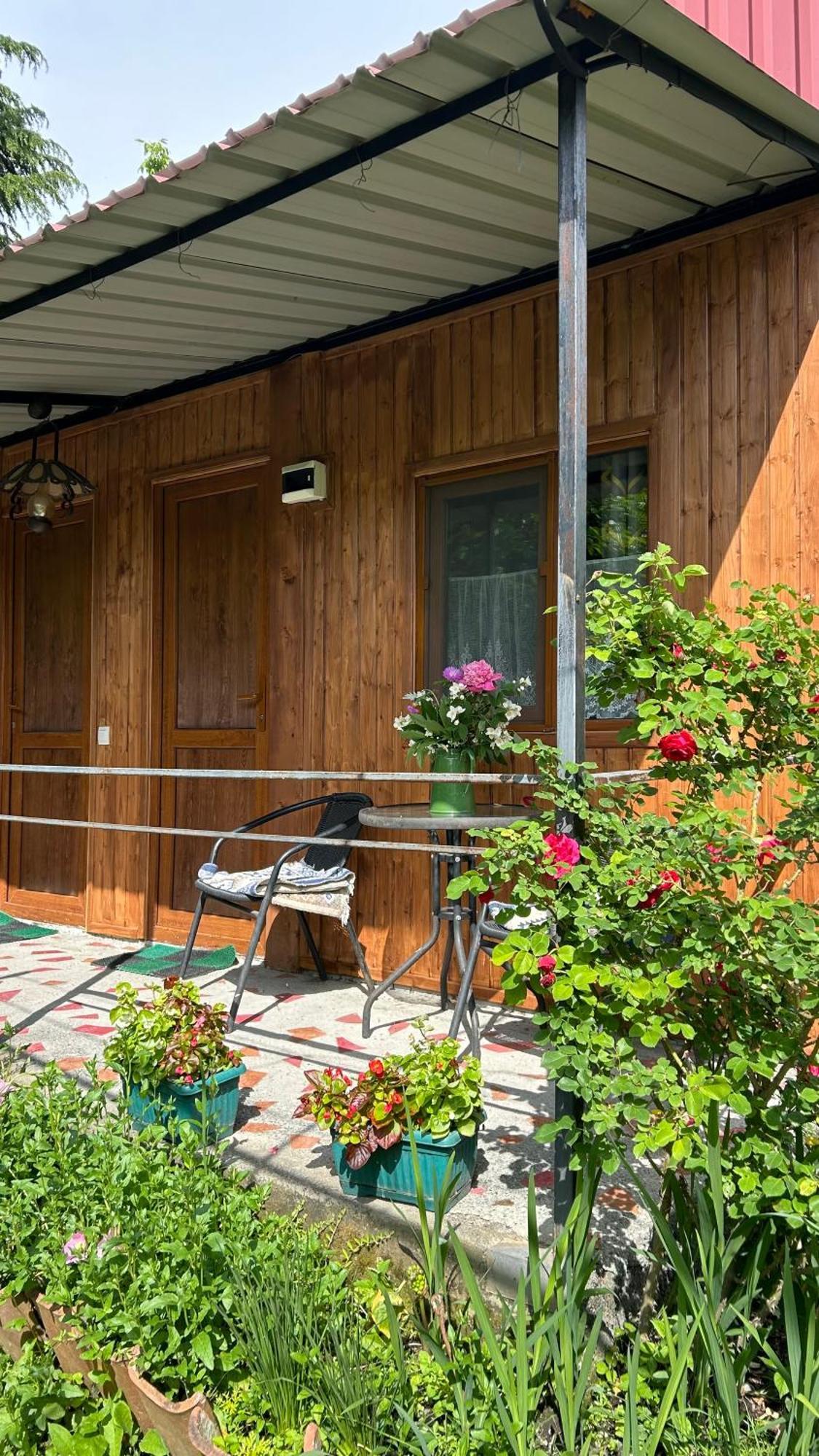 Ludwig Guesthouse Lagodehi Dış mekan fotoğraf