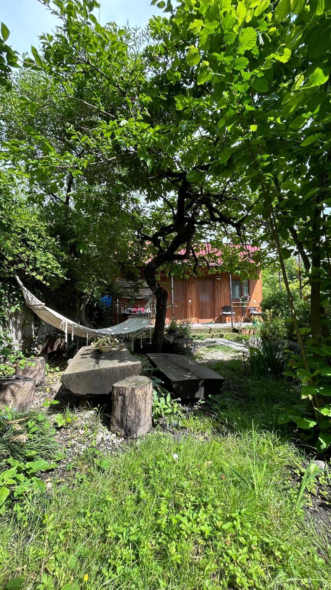 Ludwig Guesthouse Lagodehi Dış mekan fotoğraf