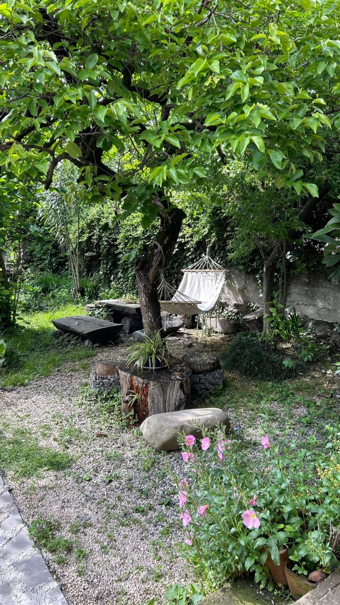Ludwig Guesthouse Lagodehi Dış mekan fotoğraf