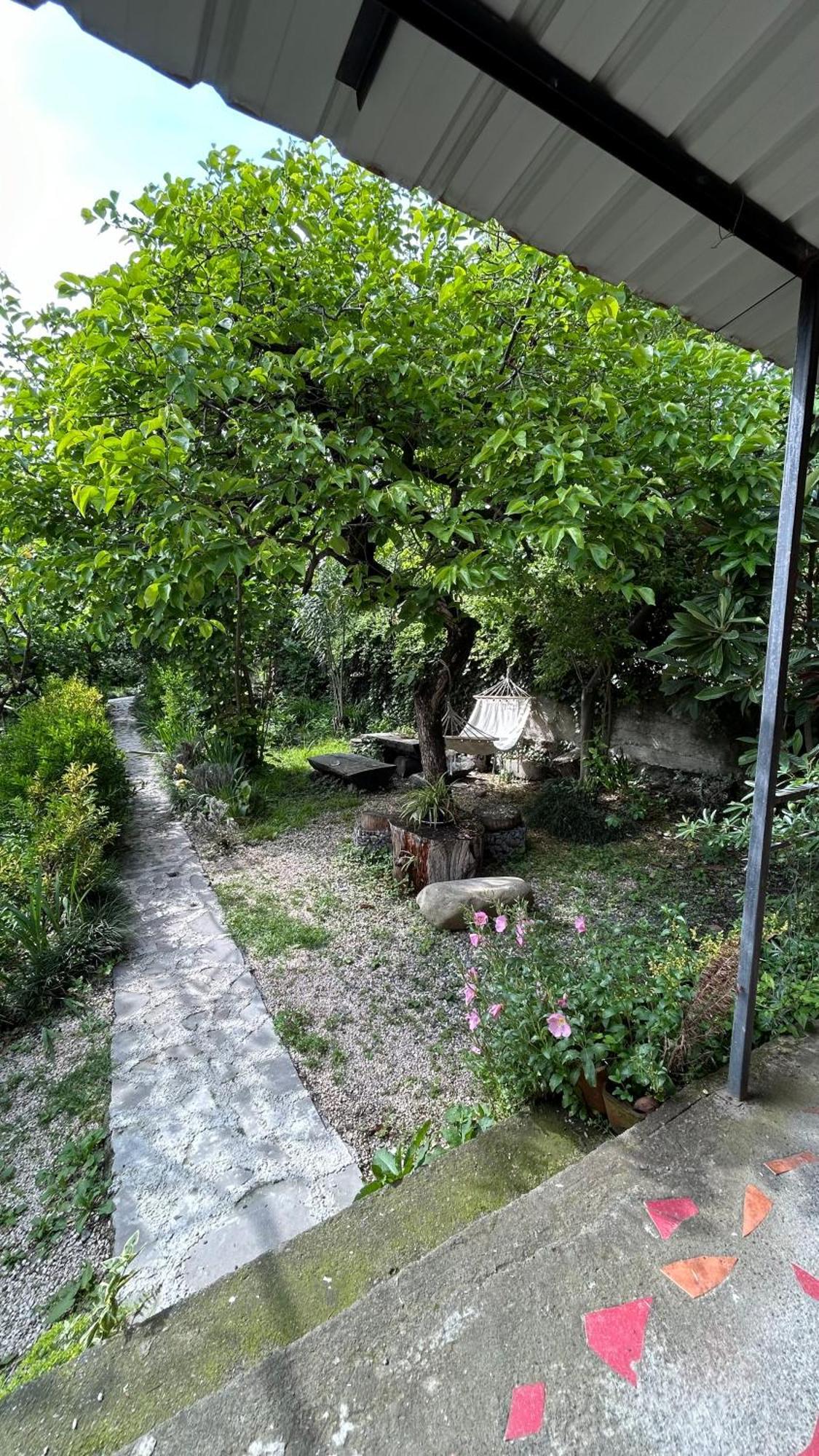 Ludwig Guesthouse Lagodehi Dış mekan fotoğraf
