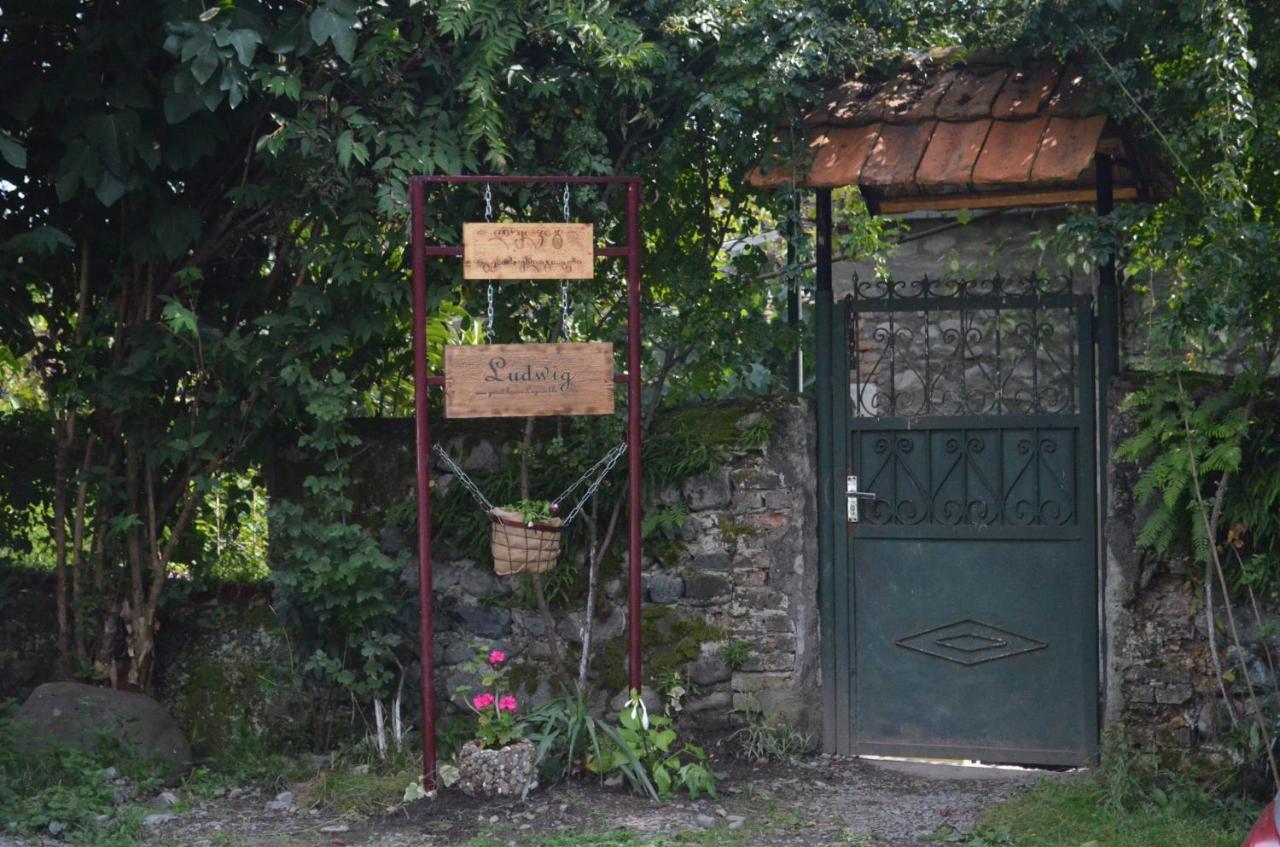 Ludwig Guesthouse Lagodehi Dış mekan fotoğraf